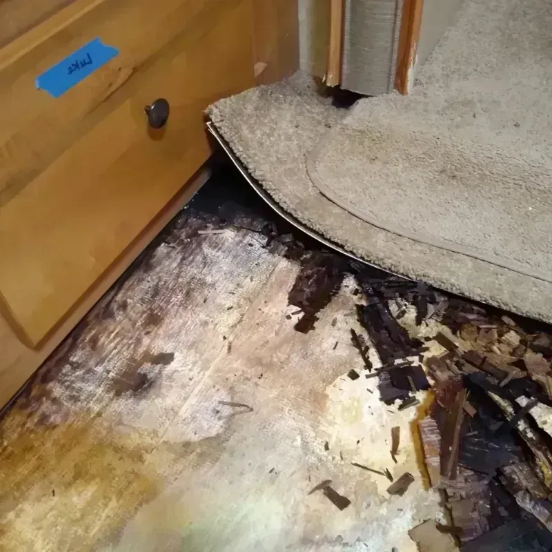 Wood Floor Water Damage in Valley Park, MO